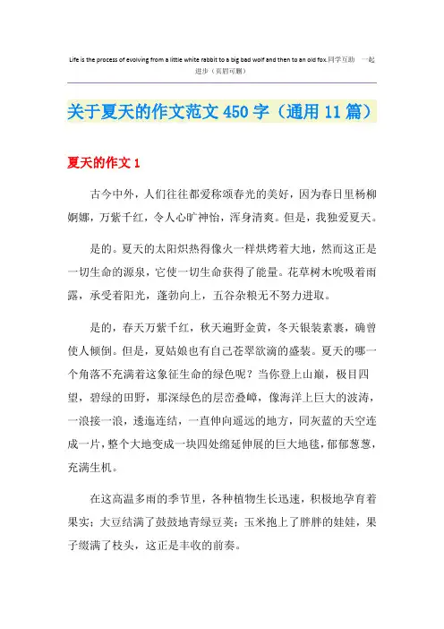 关于夏天的作文范文450字(通用11篇)
