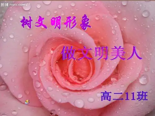 高中班会《什么是美》PPT课件