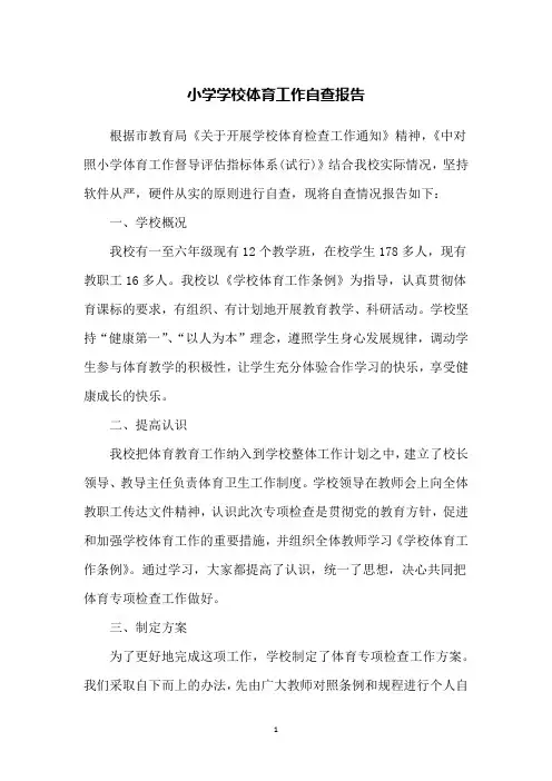 小学学校体育工作自查报告 2