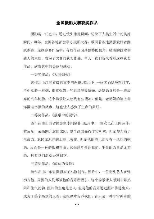 全国摄影大赛获奖作品