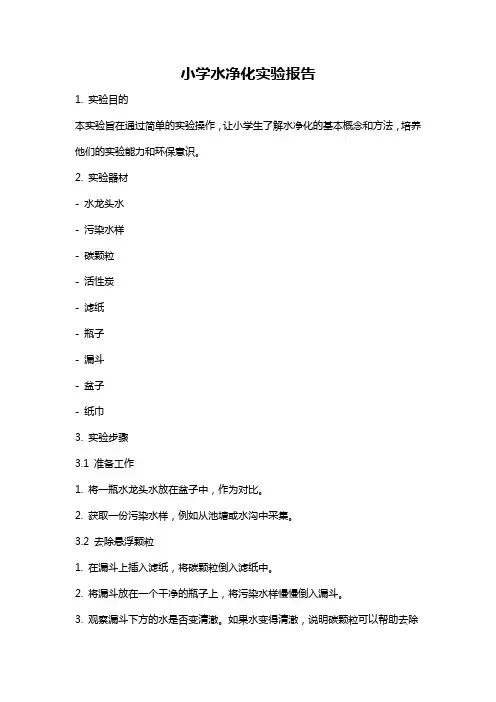 小学水净化实验报告