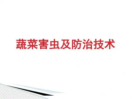 蔬菜害虫-ppt课件-PPT文档资料
