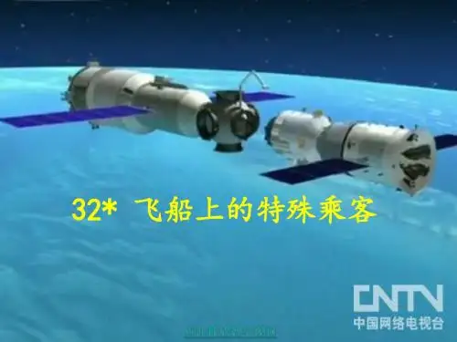 飞船上的特殊乘客(完美版)