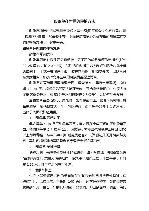 甜象草在新疆的种植方法