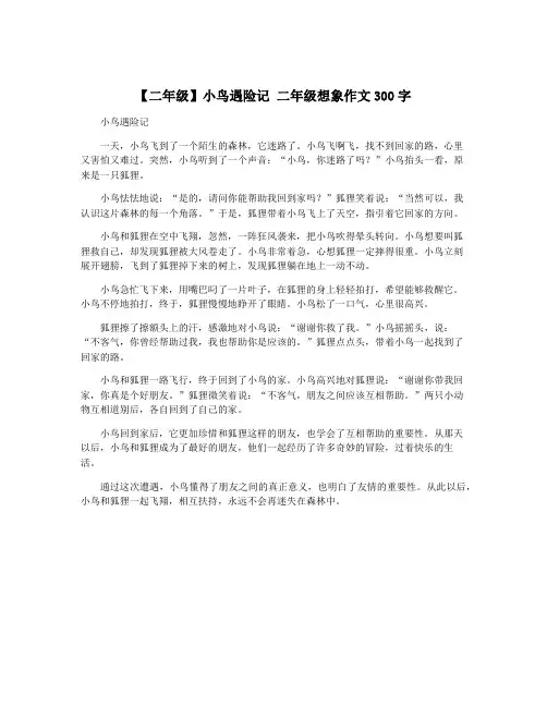【二年级】小鸟遇险记 二年级想象作文300字