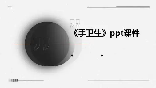 2024版《手卫生》ppt课件