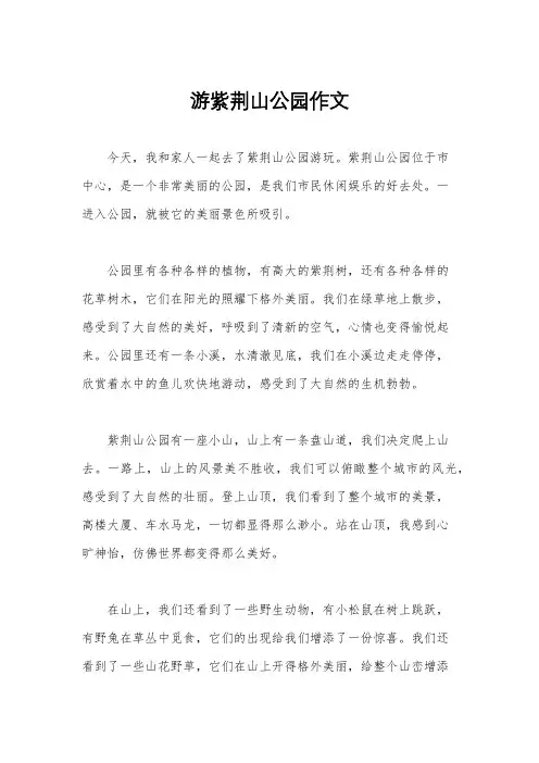 游紫荆山公园作文
