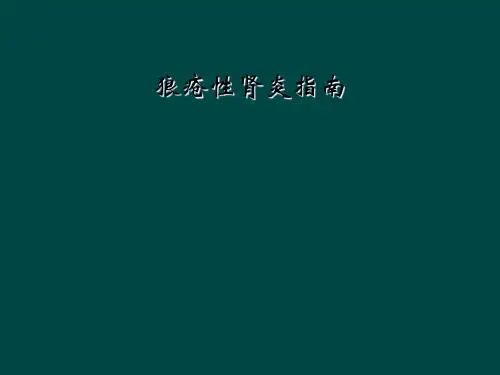 狼疮性肾炎指南