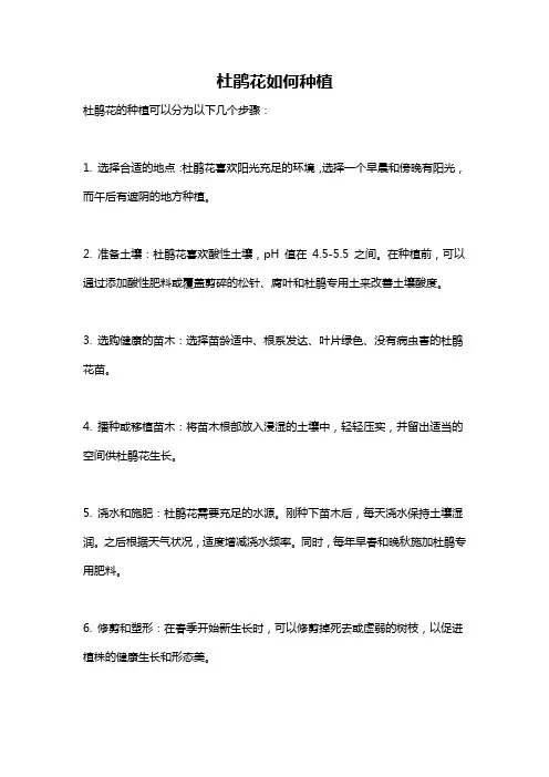 杜鹃花如何种植