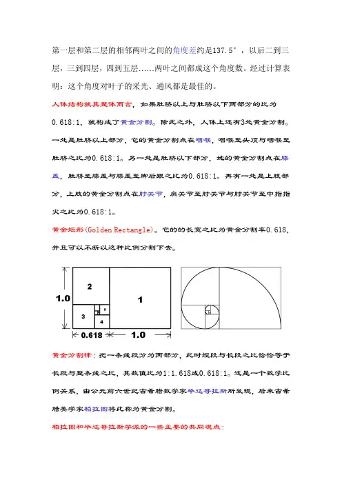 黄金分割
