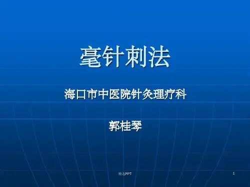 《毫针刺法》PPT课件