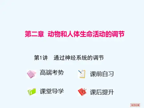 高考生物第二章动物和人体生命活动的调节第1讲通过神经系统的调节课件