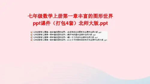 七年级数学上册第一章丰富的图形世界ppt课件(打包4套)北师大版