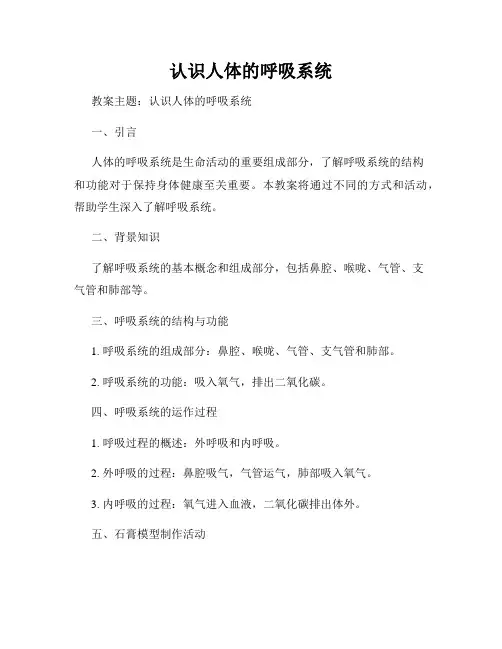 认识人体的呼吸系统