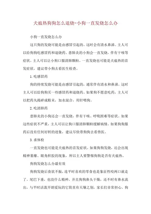 犬瘟热狗狗怎么退烧-小狗一直发烧怎么办