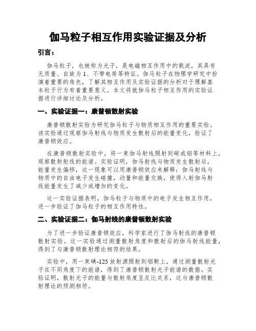 伽马粒子相互作用实验证据及分析