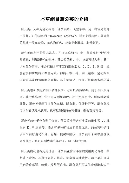 本草纲目蒲公英的介绍