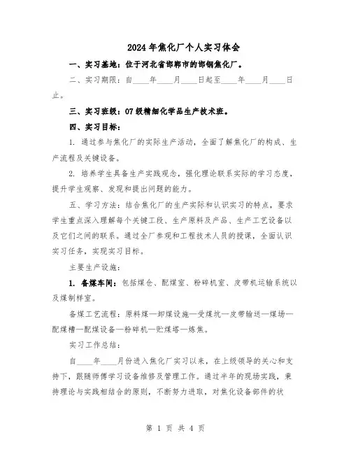 2024年焦化厂个人实习体会（3篇）