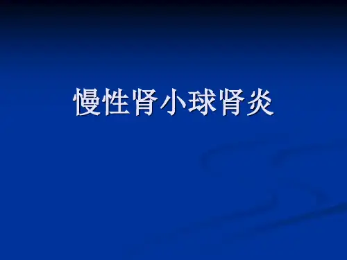 慢性肾小球肾炎