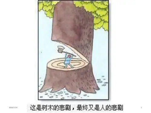 人教版地理必修三2.2森林的开发和保护——以亚马孙热带雨林为例(共32张PPT)