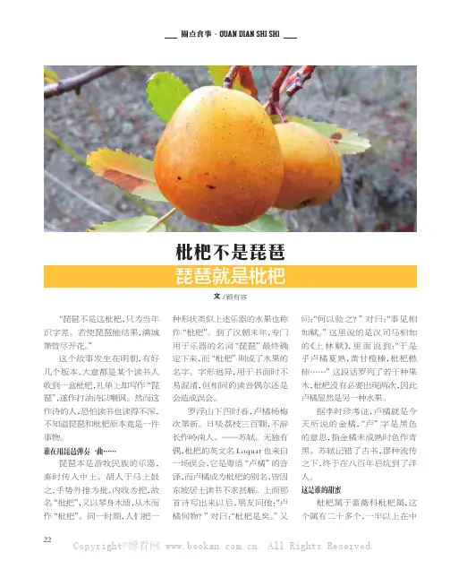 枇杷不是琵琶，琵琶就是枇杷
