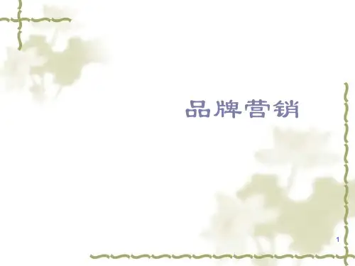 品牌形象概述