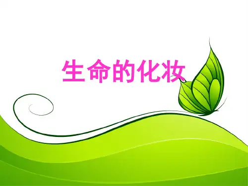 《生命的化妆》ppt课件
