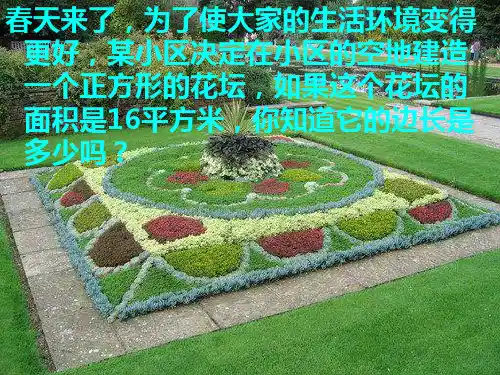 青岛版八年级数学下册《算术平方根》优质课件(共19张PPT)