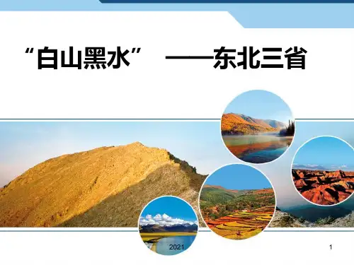东北三省(共54张)PPT课件