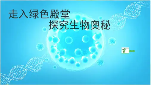 高一生物 课件【新教材】人教版高中生物必修一PPT精美版