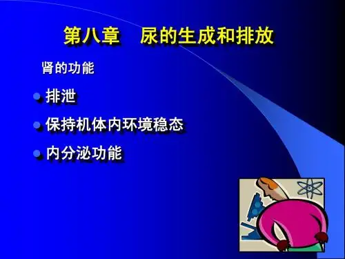 第八章尿的生成和排放
