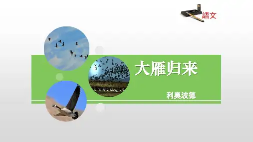 第7课《大雁归来》课件(共24张PPT)++++2022-2023学年部编版语文八年级下册