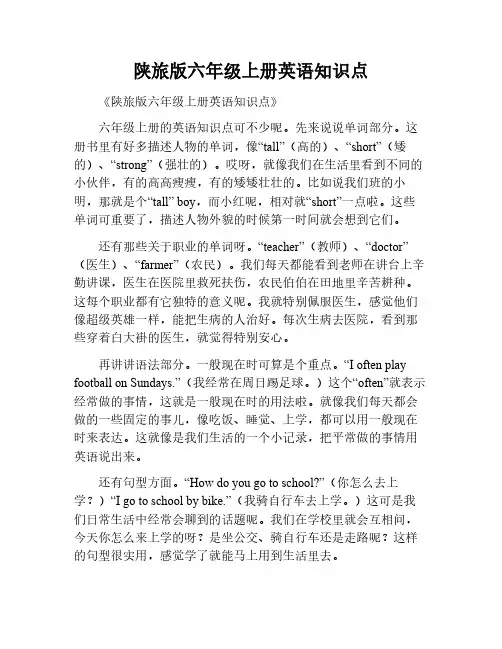 英语六年级上册陕旅版知识点