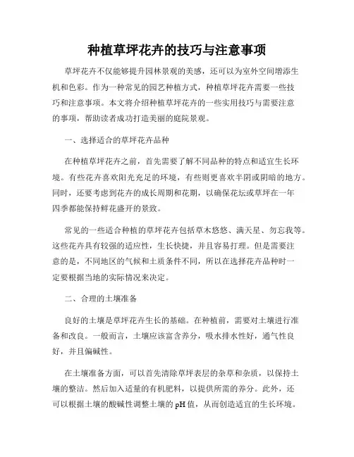 种植草坪花卉的技巧与注意事项