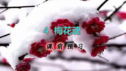 部编版五年级语文下册第4课《梅花魂》精美课件