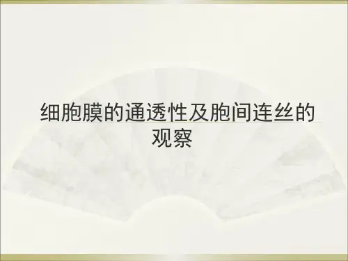 细胞膜的通透性及胞间连丝的观察