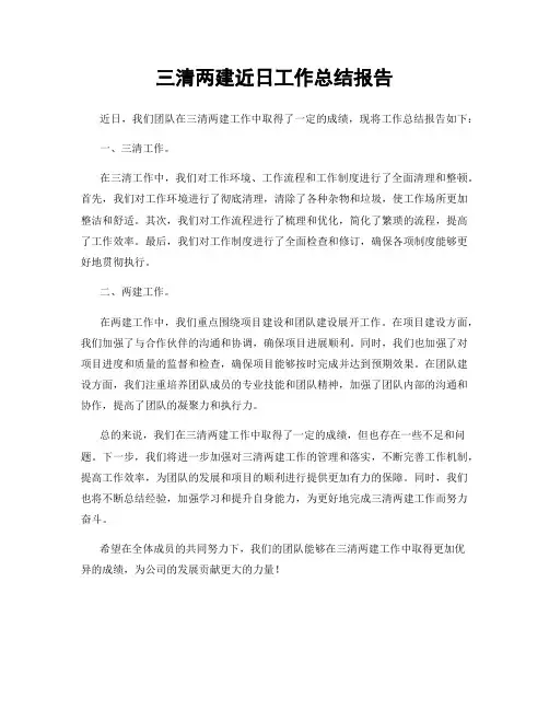 三清两建近日工作总结报告