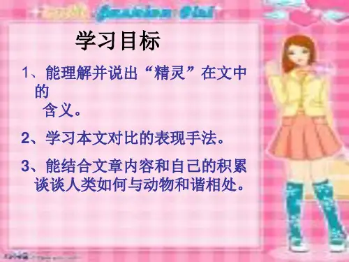 都市精灵.PPT课件