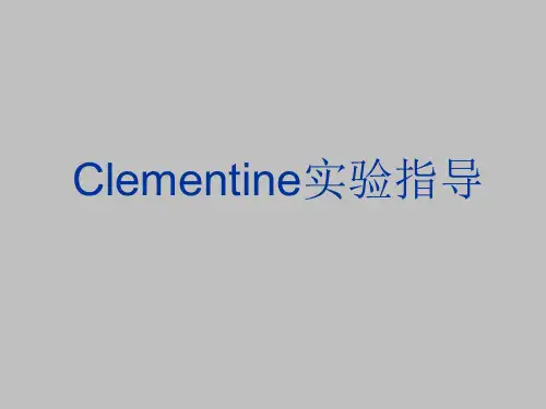 Clementine上机操作实验指导