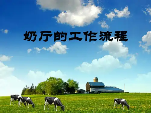 奶厅的工作流程