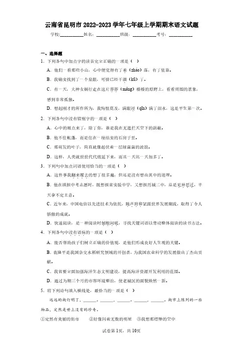 云南省昆明市2022-2023学年七年级上学期期末语文试题(含答案解析)