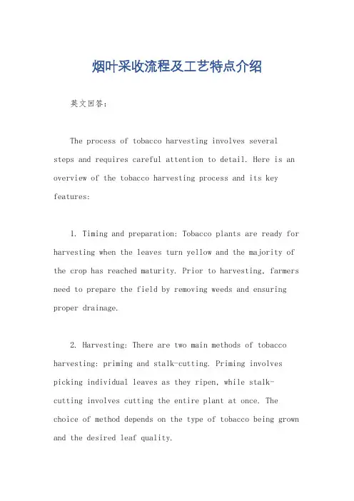 烟叶采收流程及工艺特点介绍