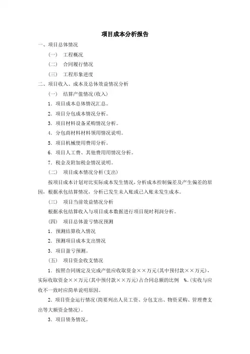 项目成本分析报告