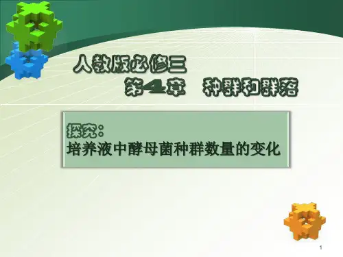 人教版生物必修三第四章《探究：培养液中酵母菌种群数量的变化》教学课件(共22张PPT)