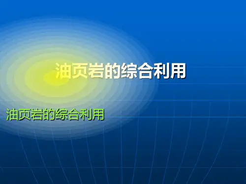 油页岩综合利用