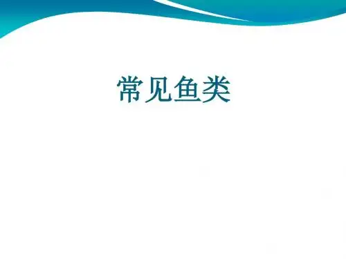 鱼类