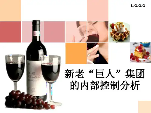 新老“巨人”集团内部控制分析ppt