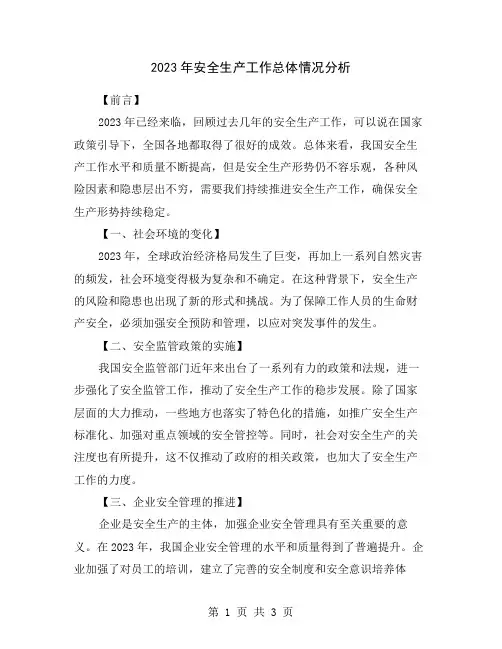2023年安全生产工作总体情况分析