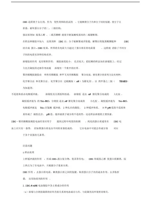 SDS-PAGE电泳注意事项.docx