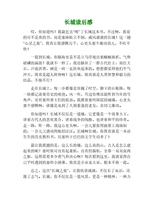 长城这本书的读后感